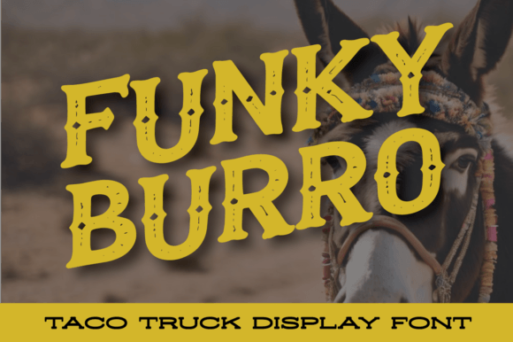Funky Burro Font Review: A Rustic Display Typeface for Creative Branding