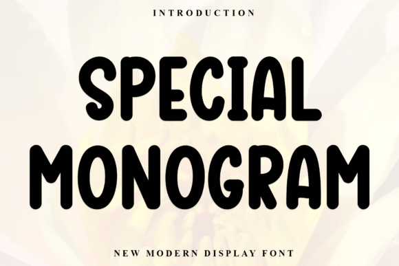 Special Monogram: A Refined Display Typeface for Editorial Design